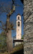 20100428_175242 Scorcio con campanile.jpg